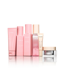 LARGE KIT – NORMAL SKIN