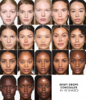 DEWY CONCEALER SET