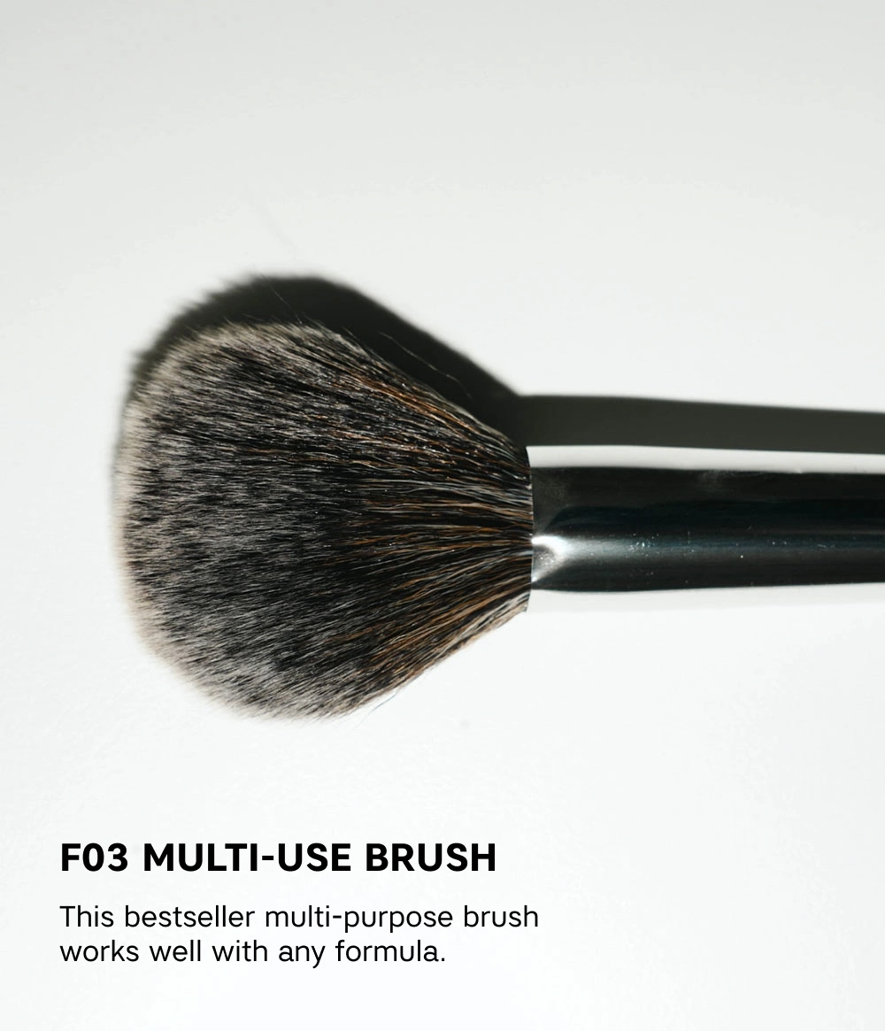 MULTI-USE BRUSH F03 MULTI-USE BRUSH F03