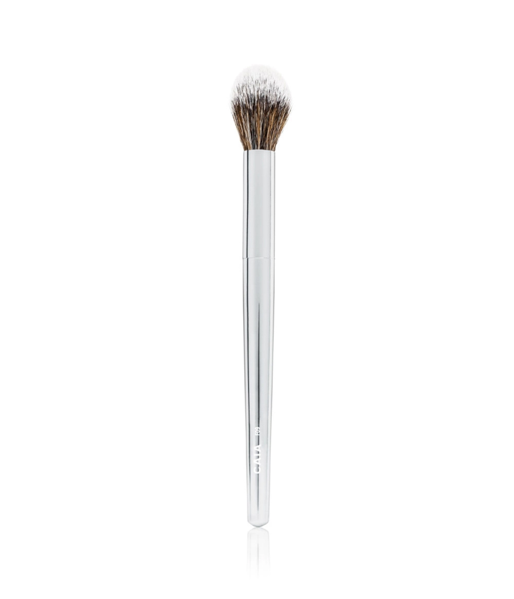 POINTED HIGHLIGHTER BRUSH F09 i gruppen BORSTAR & TILLBEHÖR / BORSTAR / Sminkborstar hos CAIA Cosmetics (CAI501)