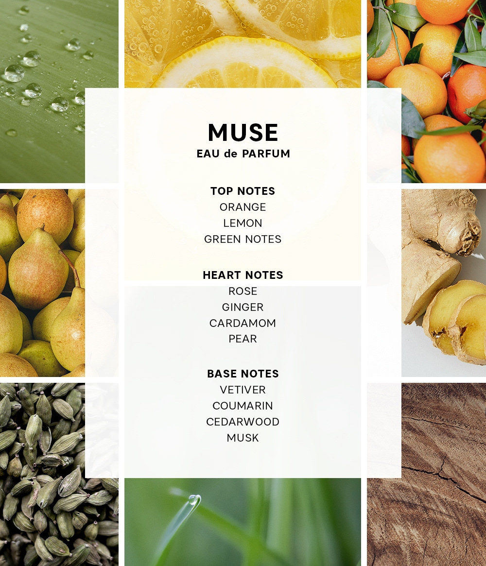 MINI TRAVEL COLLECTION MINI TRAVEL COLLECTION