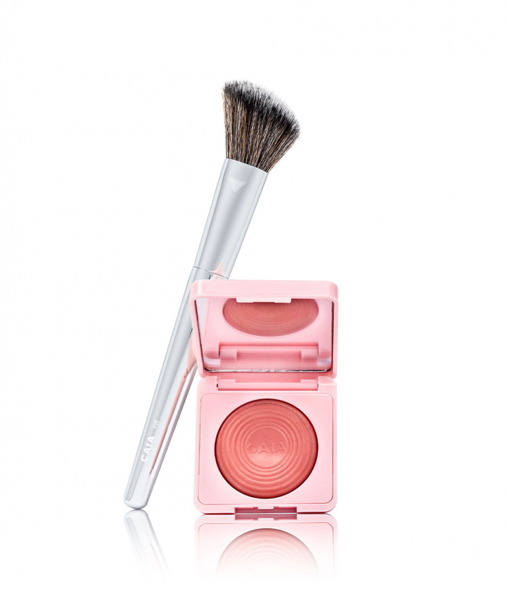 blush me kit F06